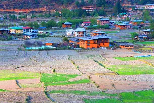 4 Days Standard Package